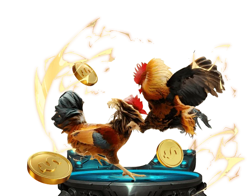 Tầm nhìn tương lai của chọi gà Thomo